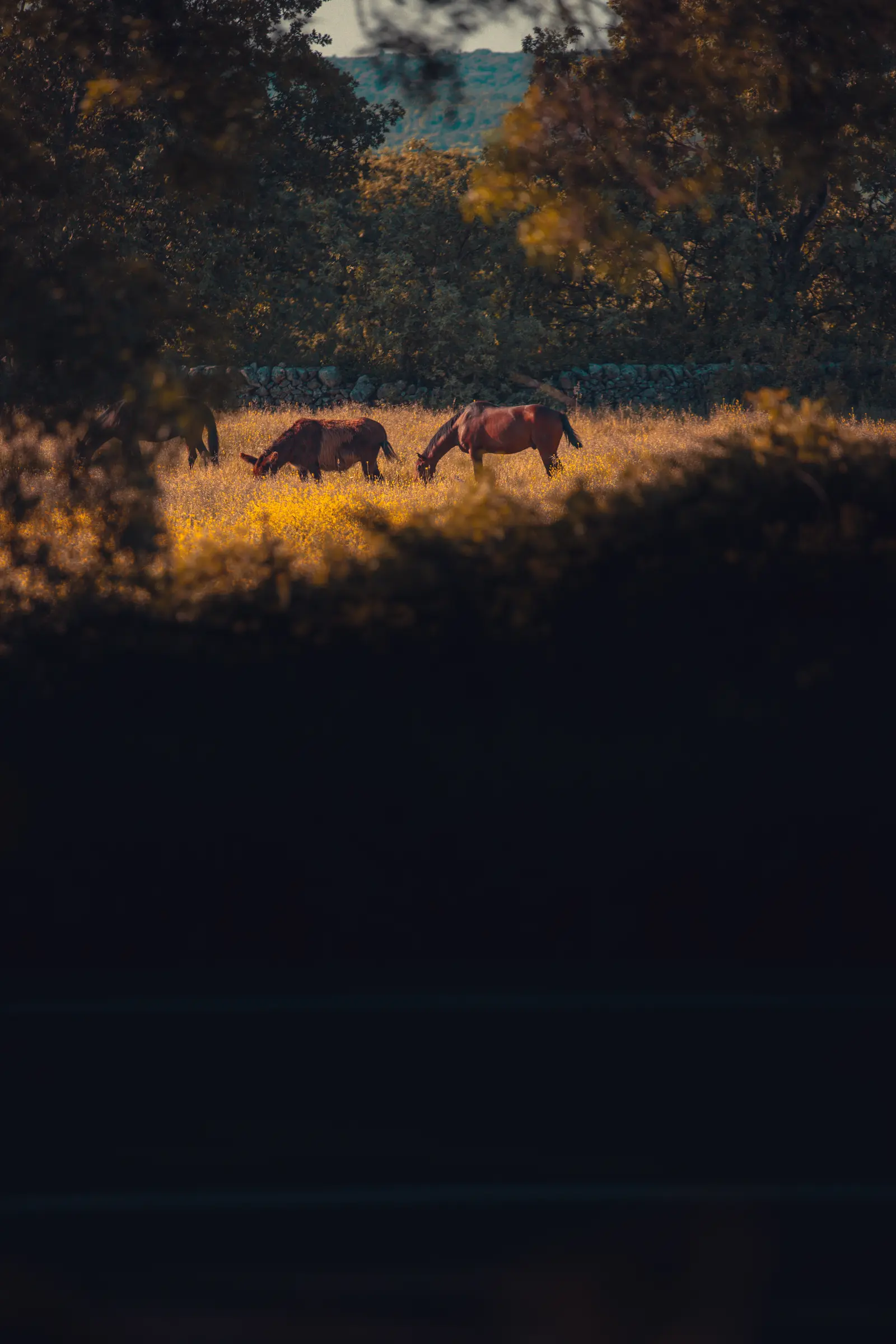 Intento subida Abantos-2